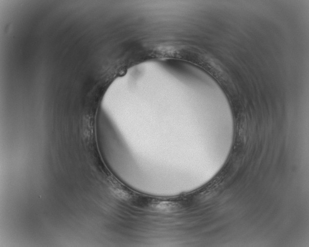 X0000073840467200608311939