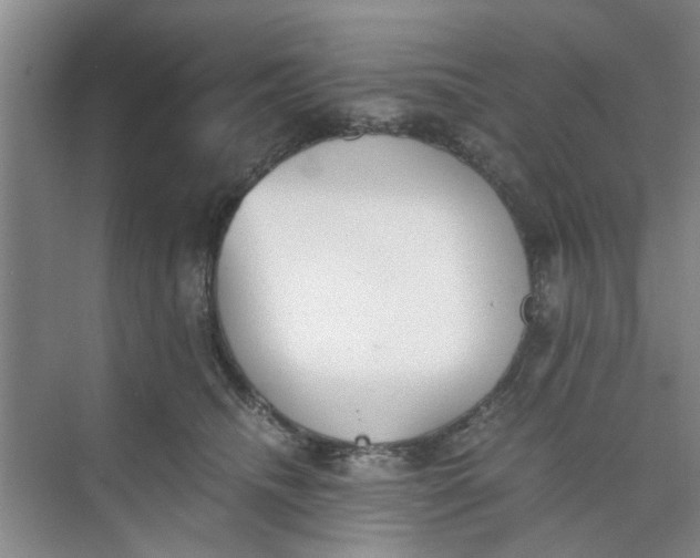 X0000073840468200608311939