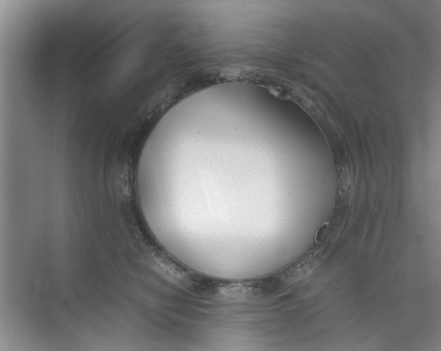 X0000073840470200608311939