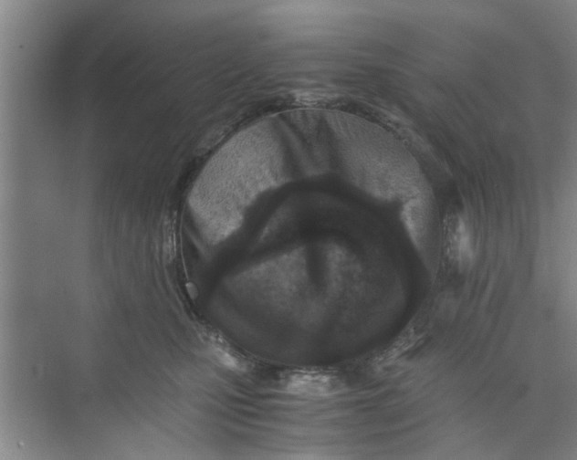 X0000073840471200608311939