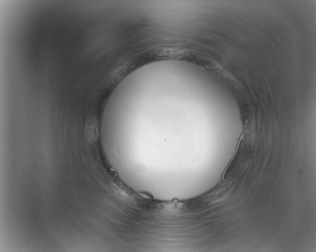 X0000073840474200608311939