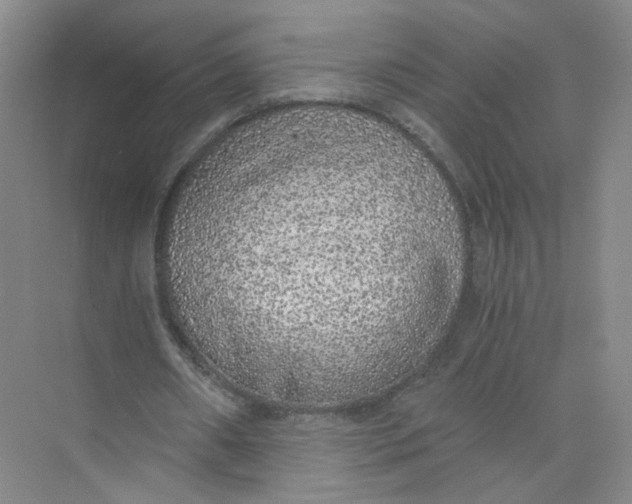 X0000073840482200608311938