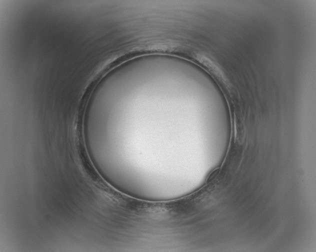 X0000073840483200608311938