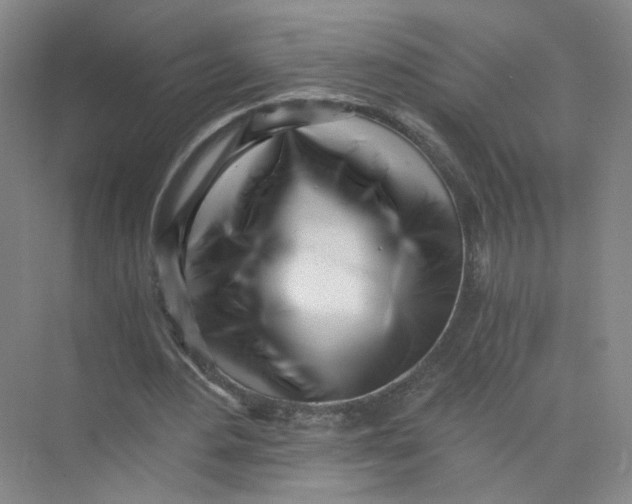 X0000073840484200608311938