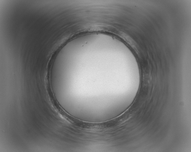 X0000073840485200608311938