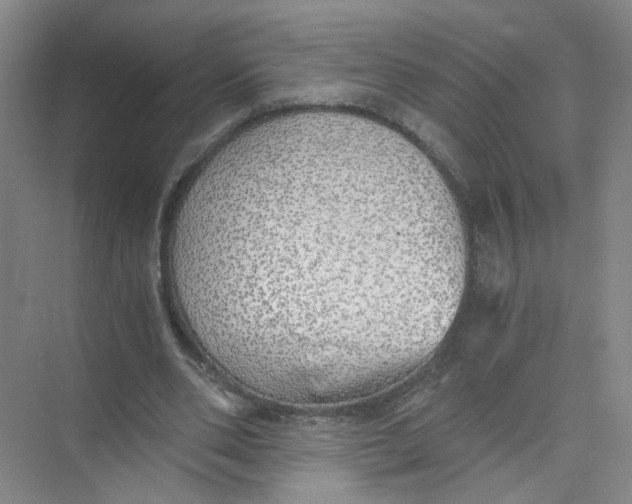 X0000073840486200608311938