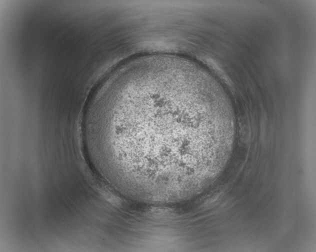 X0000073840487200608311938