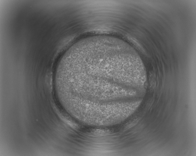 X0000073840494200608311938