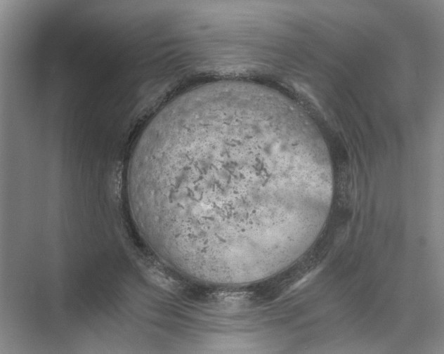 X0000073840495200608311938