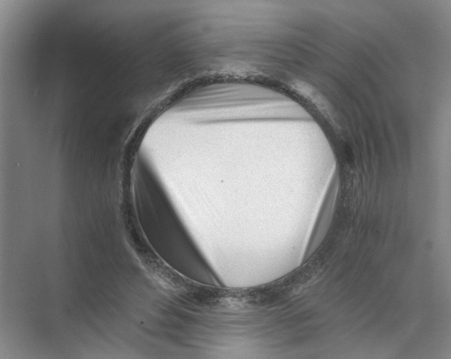 X0000073840496200608311938