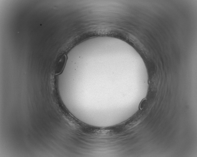 X0000073840497200608311938