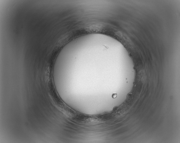 X0000073840498200608311938