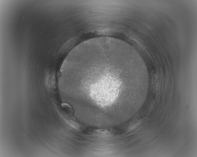 X0000073840502200608311938