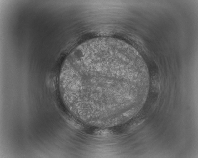 X0000073840503200608311938