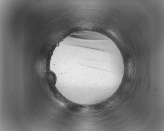 X0000073840504200608311938