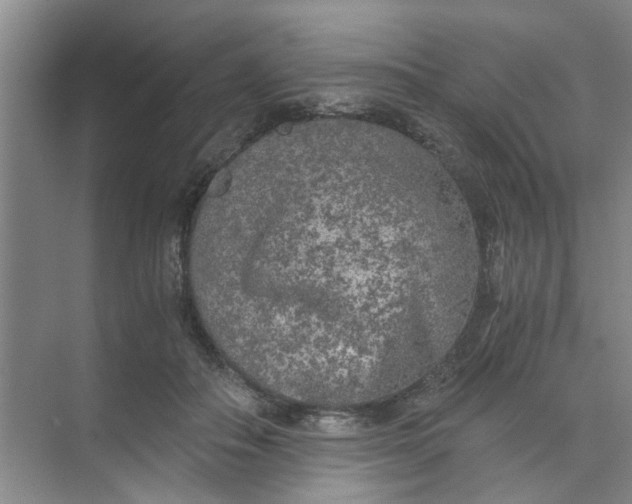 X0000073840506200608311938