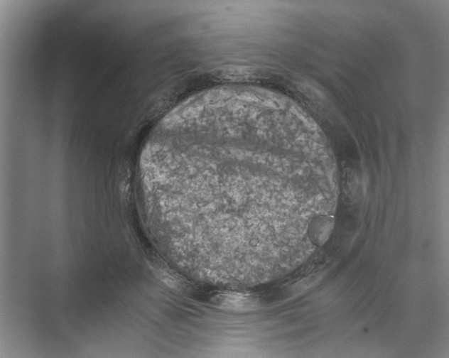 X0000073840507200608311938