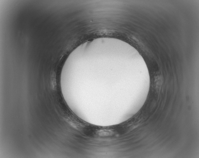 X0000073840508200608311938