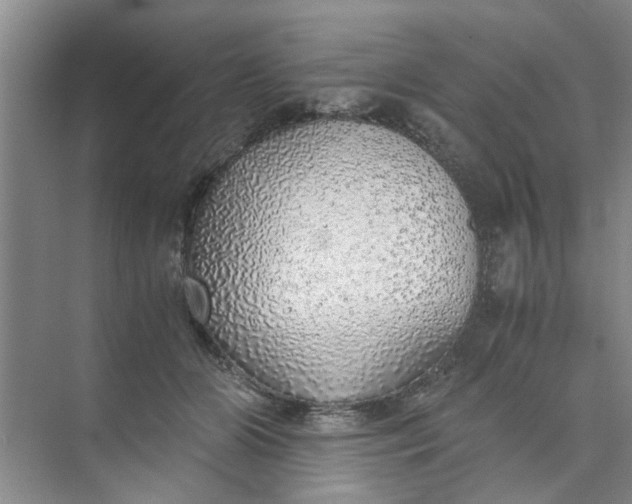 X0000073840510200608311938