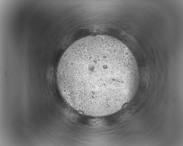 X0000073840511200608311938