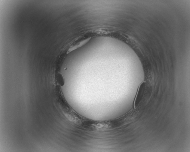 X0000073840512200608311938