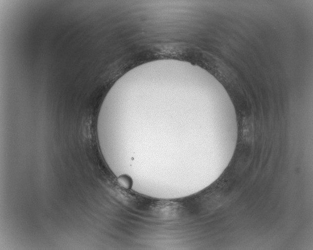 X0000073840514200608311938