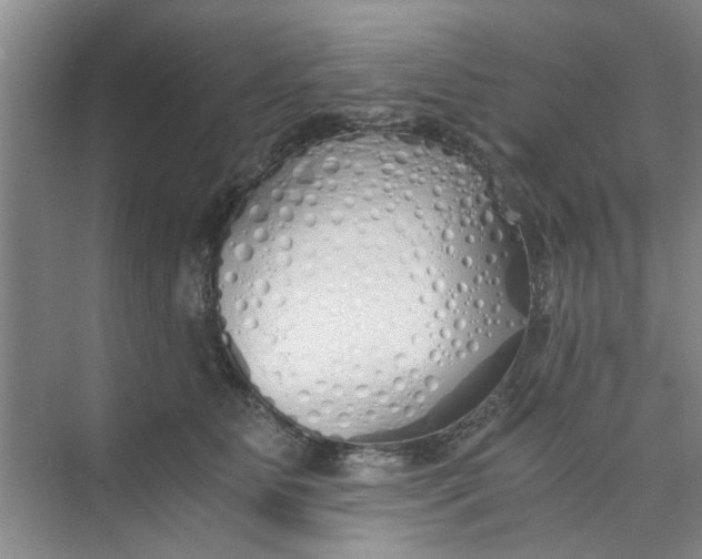 X0000073840515200608311938