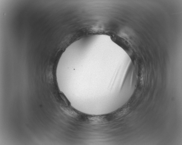 X0000073840516200608311938