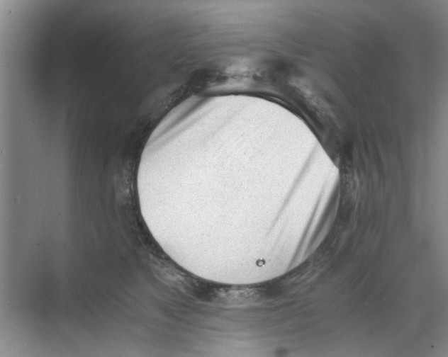 X0000073840517200608311938