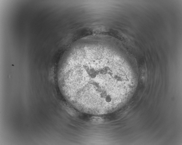 X0000073840519200608311938