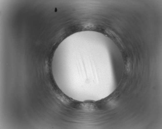 X0000073840520200608311938