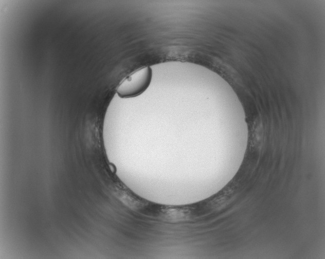 X0000073840522200608311938