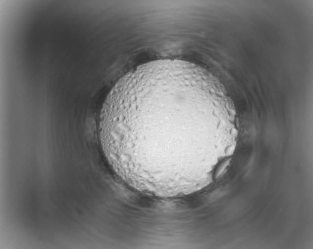 X0000073840523200608311938