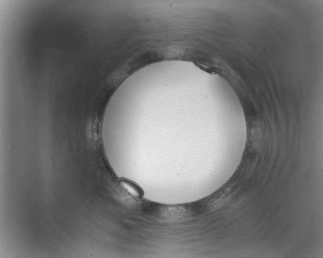 X0000073840525200608311938