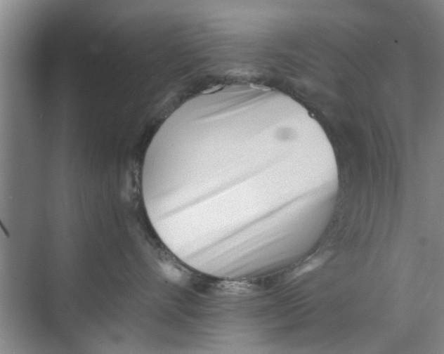 X0000073840528200608311938