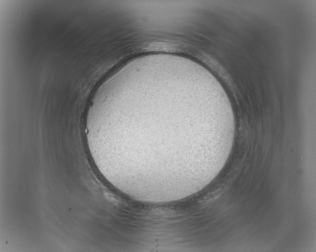 X0000073840529200608311937