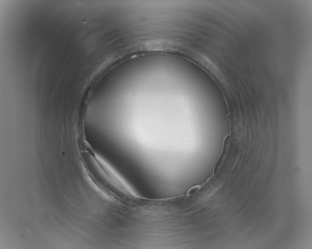 X0000073840530200608311937