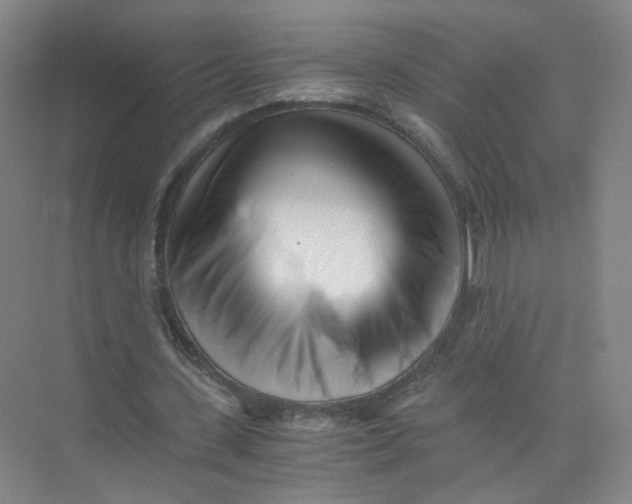 X0000073840531200608311937