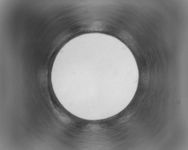 X0000073840534200608311937