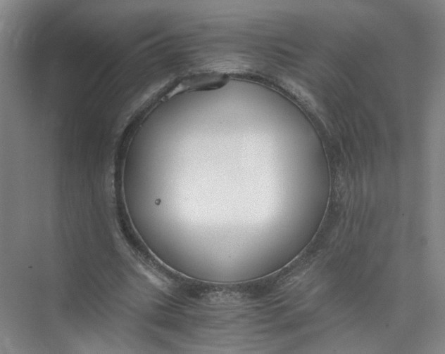 X0000073840535200608311937