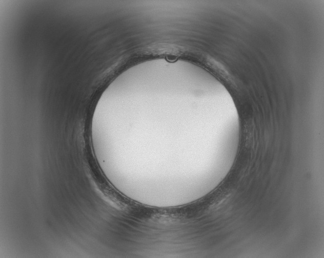 X0000073840538200608311937