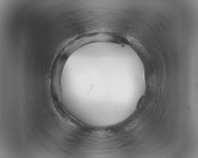 X0000073840540200608311937