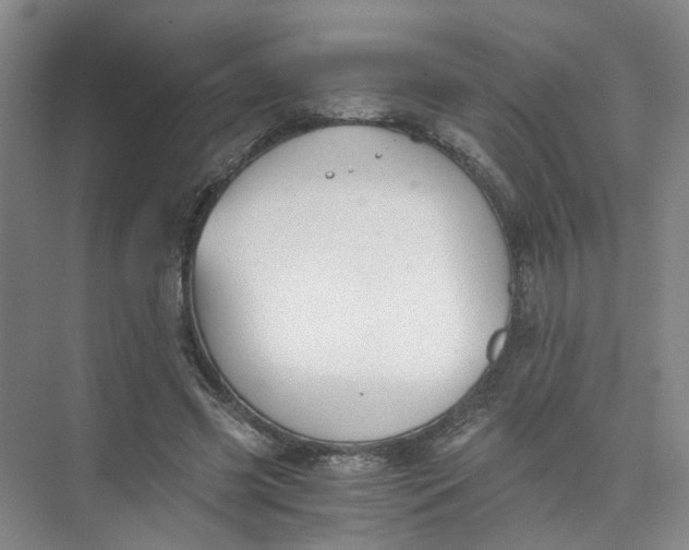 X0000073840541200608311937