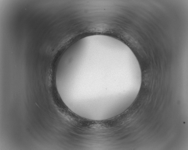 X0000073840544200608311937