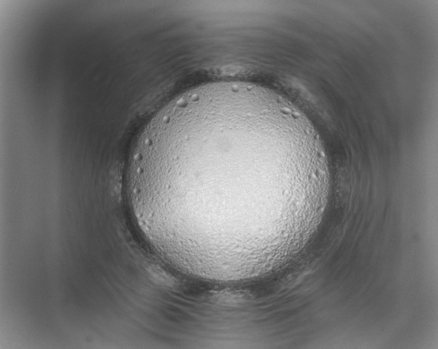 X0000073840545200608311937