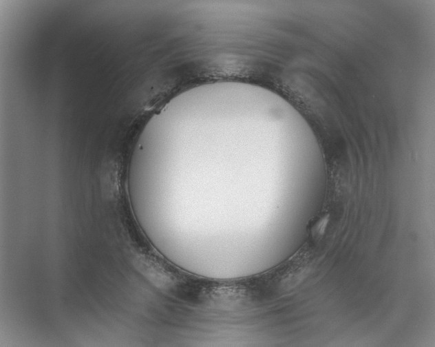 X0000073840546200608311937