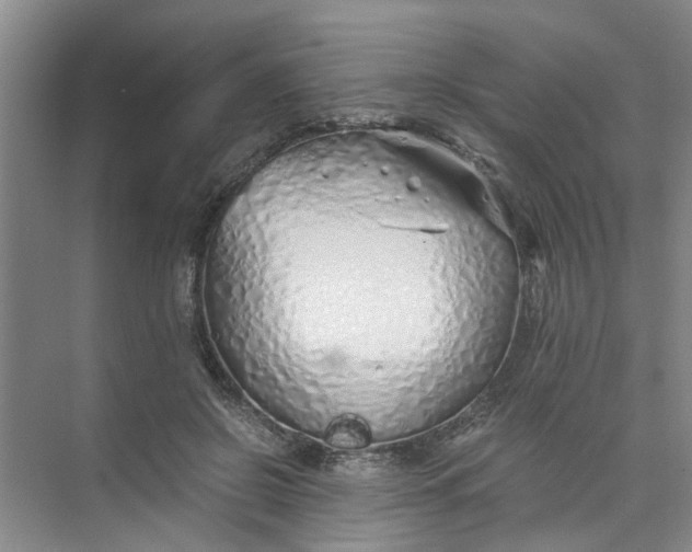 X0000073840550200608311937