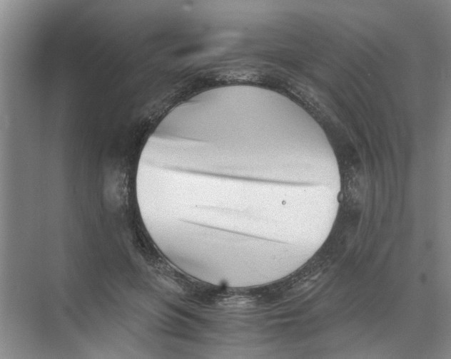 X0000073840551200608311937