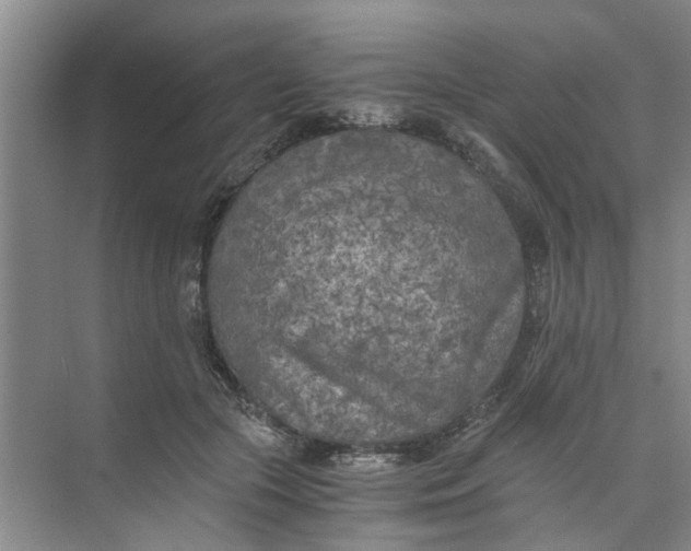 X0000073840553200608311937