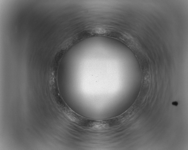 X0000073840555200608311937